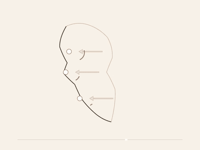 Animação mostrando a avaliação de pontos específicos de suporte em um perfil facial